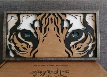 From Concept to Creation: A Customer Gallery