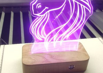 From Concept to Creation: A Customer Gallery