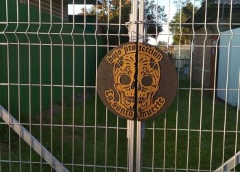 From Concept to Creation: A Customer Gallery