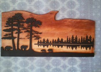 From Concept to Creation: A Customer Gallery